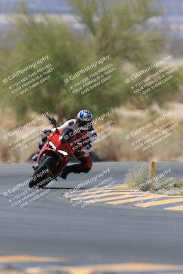 media/May-14-2023-SoCal Trackdays (Sun) [[024eb53b40]]/Turn 5 Tree of Life (1125am)/